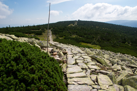 Trail in the Giant Mountain, czech republicの写真素材