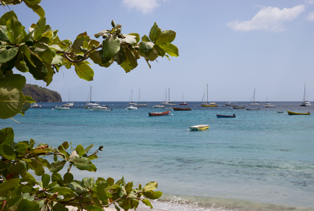 Many boats off the coast of Martiniqueの写真素材