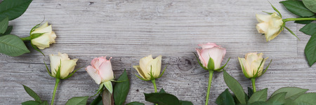 Pink and yellow roses over wooden table, panoramic imageの写真素材