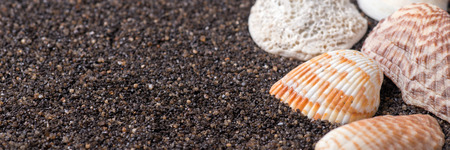 Frame made of seashells on dark sandの写真素材