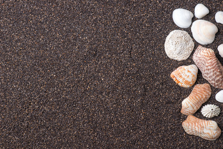 Frame made of seashells on dark sandの写真素材