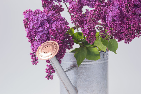 Bouquet of purple lilac with tin watering canの写真素材