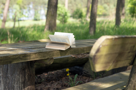 Open book on wooden table in forestの写真素材