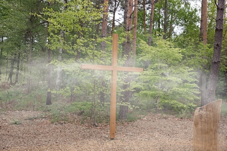 Wooden cross in the forest, nature Cemeteryの写真素材