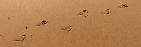 Footprints from the child on brown sandy beachの写真素材