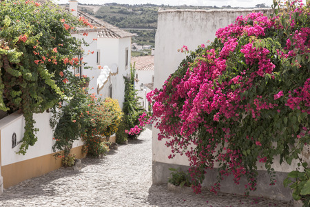 Street with flowers in Obidos, a medieval town in Portugalの写真素材