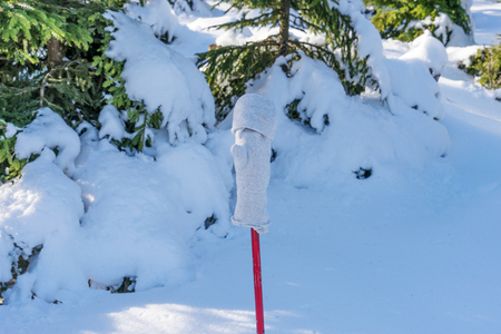 Glove on the walking stick in the winter forestの写真素材