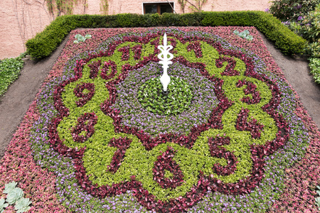 Flowered flower clock in the park at twelve o'clockの写真素材