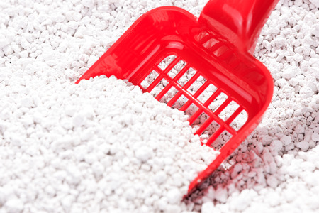 Red litter scoop inside cat litter boxの写真素材