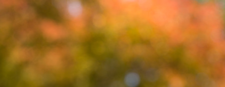 Natural blur orange bokeh leaf backgroundの写真素材