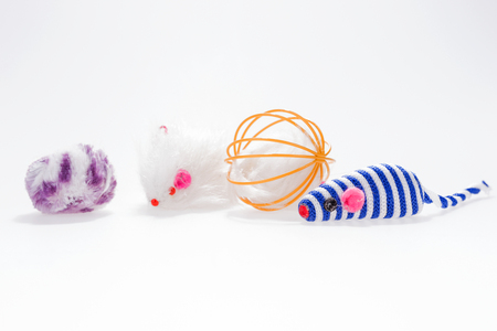 Various colorful cat toy isolated on whiteの写真素材