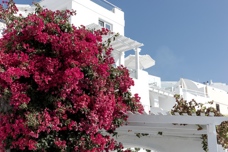 Traditional greek street on the wall, Santorini Islandの写真素材