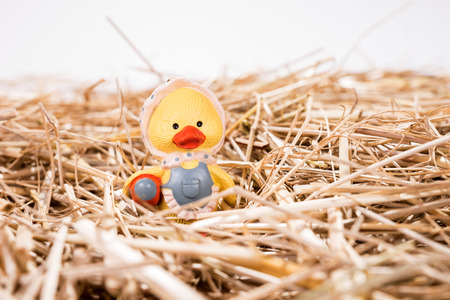 Little chick in the straw, easter background
