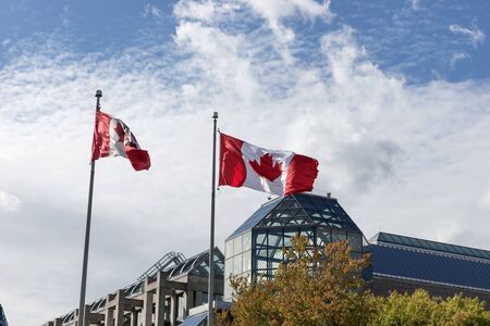 Canadian flags in the wind in front of blue skyの写真素材