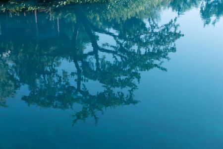 Reflection of the trees in the blue waterの写真素材