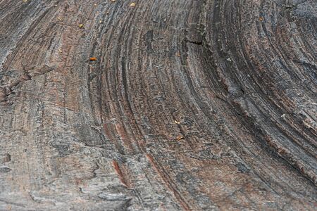Granite stone. The structure of natural stone. Creative backgroundの写真素材