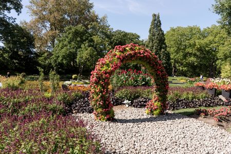 Flower arch in a park with walkway in perspective and plants in the backgroundの写真素材