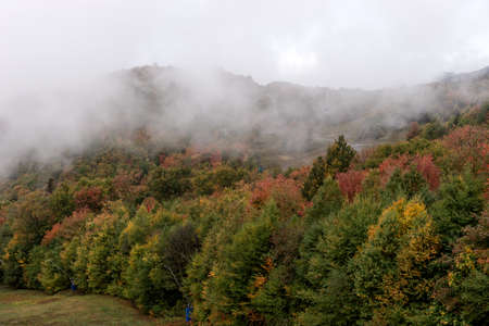 Autumn fog on the mountain hills. Misty fall woodland