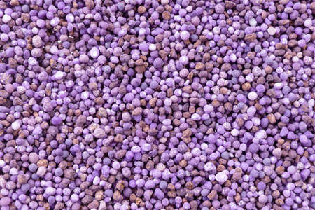Purple mineral fertilizer, prolonged action with microelements, for application to the lawn in the...