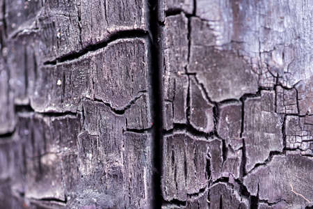 Surface of charcoal. Charred tree texture. Burnt wood black backgroundの写真素材