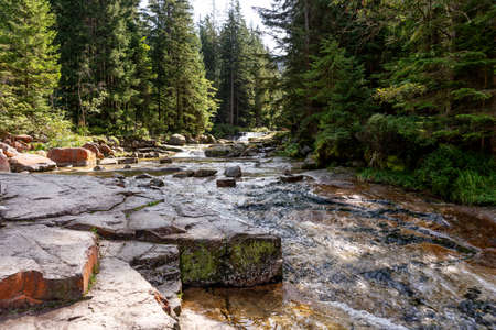 River White Elbe in the national park Krkonose near Å pindlerÅ¯v MlÃ½n. Czech Republic