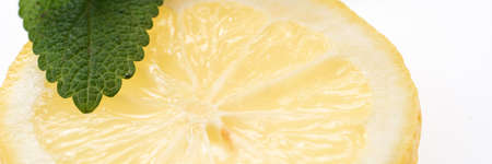 Panorama. Sliced yellow lemon with leaves of fresh lemon balm (Melissa officinalis)の写真素材