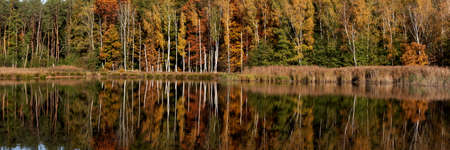 Autumn trees are reflected in the calm water. panoramaの写真素材