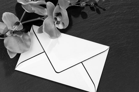 Blank mourning card with orchids as decoration in black and whiteの写真素材