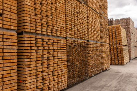 Storage wooden boards on the sawmill. Lumber Industryの写真素材