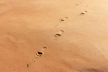 Footprints on beach sand, background or textureの写真素材