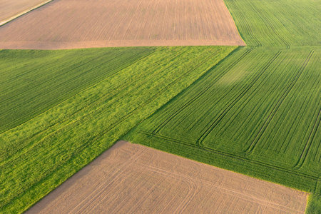 Aerial view of green and brown fields in springの写真素材