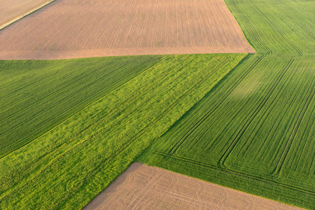 Aerial view of green and brown fields in springの写真素材