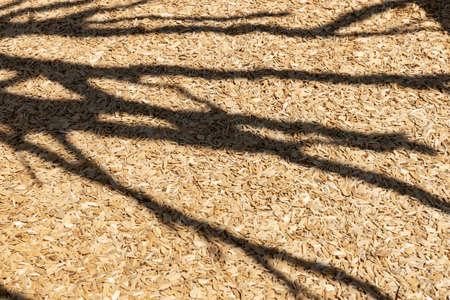 Shadows of branches on the floor with wooden shavings. Space for textの写真素材