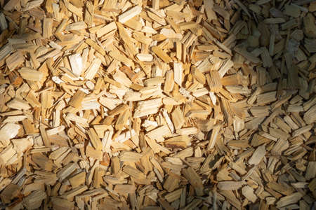 Wood chip texture. Wooden backgroundの写真素材