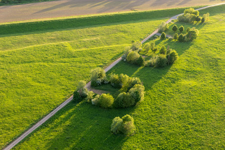 Aerial view of fields, trees and paths in springの写真素材