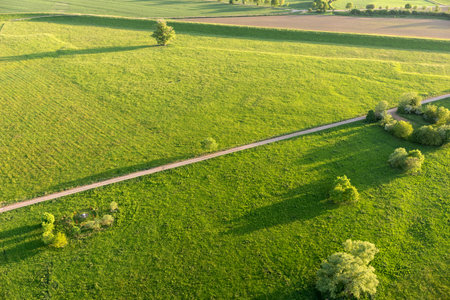 Aerial view of fields, trees and paths in springの写真素材