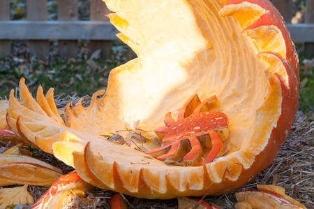 CHADDS FORD, PA - OCTOBER 26: Spider Pumpkin at The Great Pumpkin Carve carving contest on October 26, 2013のeditorial素材