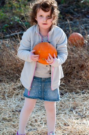 Young toddler girl outside holding a pumpkin with pumpkin fields in the backgroundの写真素材