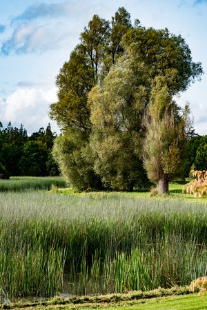 COUNTY OFFALY, IRELAND - AUGUST 23, 2017: Birr Castle Gardens in County Offaly, Irelandのeditorial素材