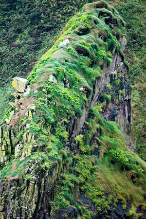 Cliffs and Harbor in Dingle, County Kerry, Irelandの写真素材