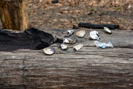 March 24, 2018 - Jamestown, VA: View of Native American life at the Jamestown settlement