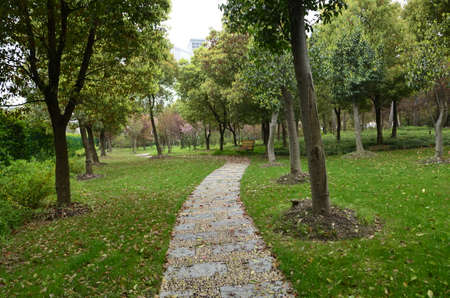 Scenic view in a parkの写真素材