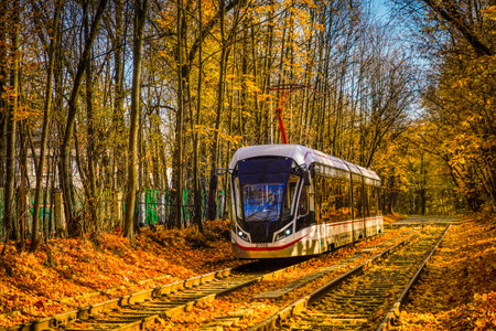 Tram rides in the autumn park, yellow leaves, sunny day, blue sky. Moscow, Russia Can be used for...