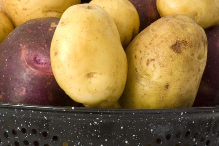 Freshly harvested potatoesの写真素材