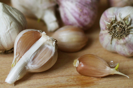 Fresh garlic clovesの写真素材