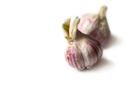 Fresh garlicの写真素材