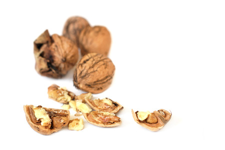 Nuts on white backgroundの写真素材