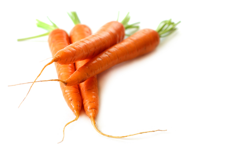 Fresh carrots - healthy foodの写真素材