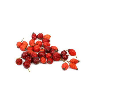 Rosehips isolated on white backgroundの写真素材