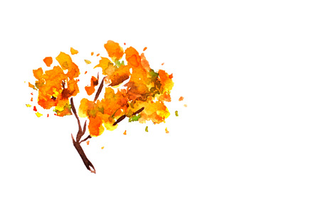 Spring flowers painted in watercolorの写真素材